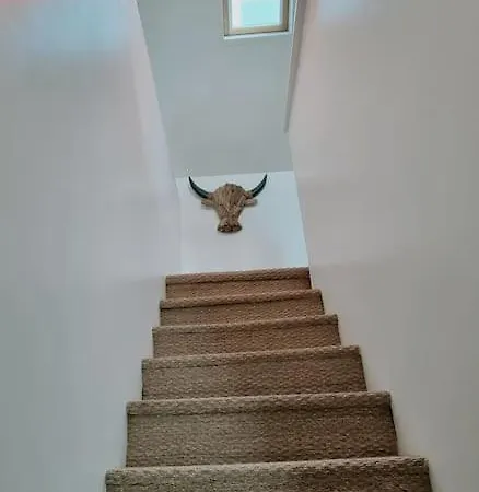 La Citadine, Maison Avec Jardin… Appartamento *